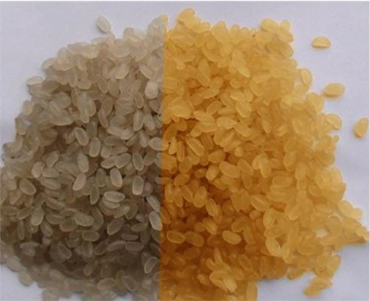 artificial rice extruder